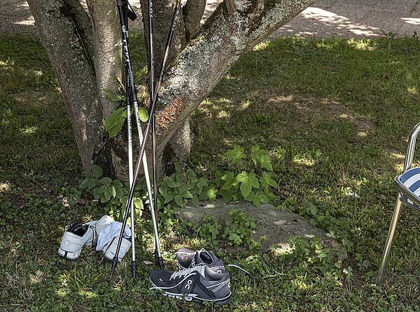Nordic Walking Stöcke